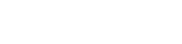 Google Gemini